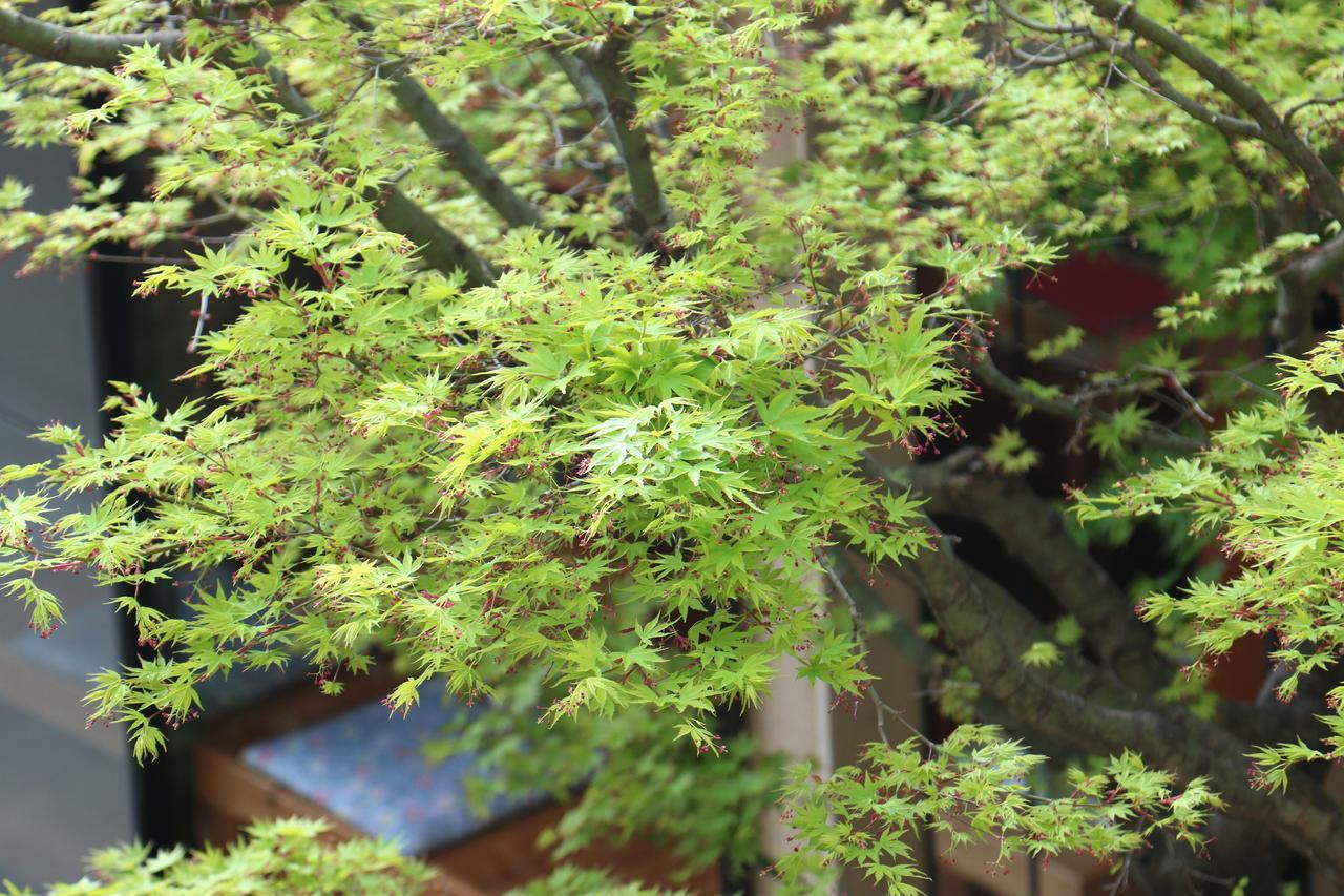 Okaya Ryokan Okitsu Exterior foto